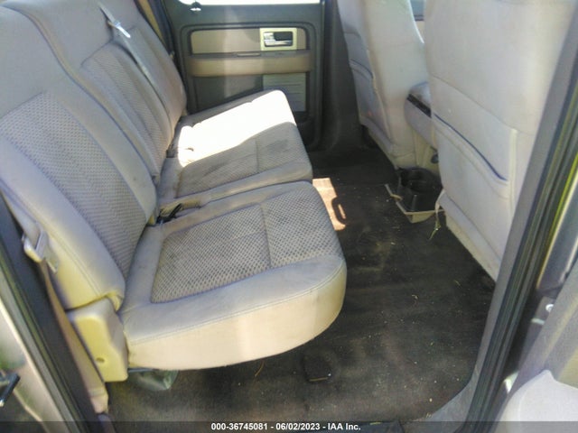 2010 FORD F-150 XL/XLT VIN: 1FTFW1CV6AFD61382