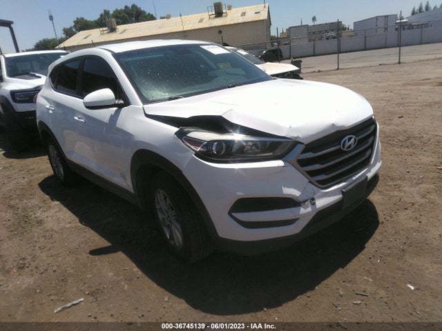 Hyundai TUCSON SE 2017 KM8J23A48HU550306 головне зображення