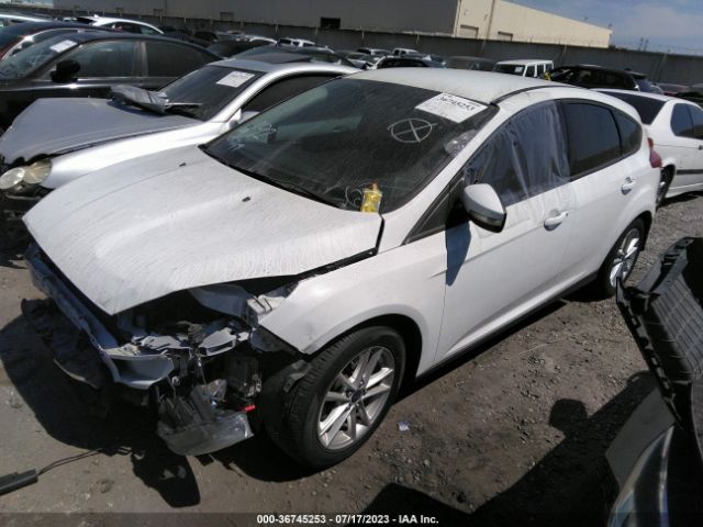 1FADP3K24GL264396 Ford FOCUS SE