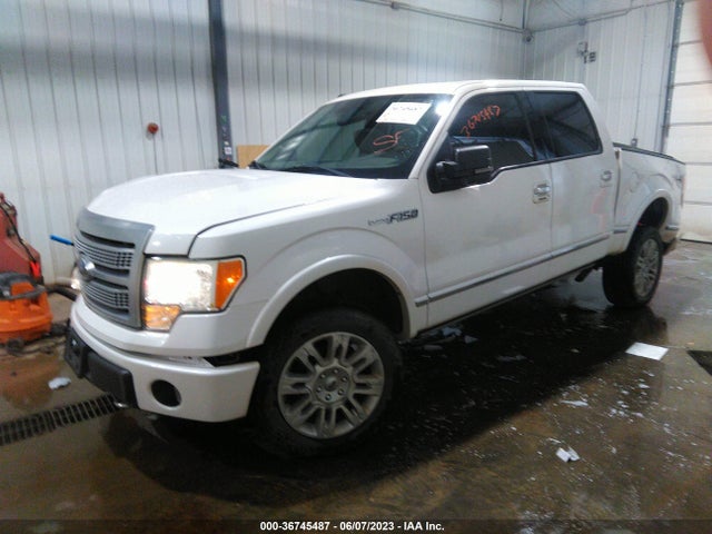 2010 FORD F-150 XL/XLT/FX4/LARIAT VIN: 1FTFW1EV6AFD48919