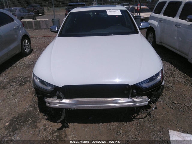 WAUBGAFL2EA036413 Audi S4 Premium Plus