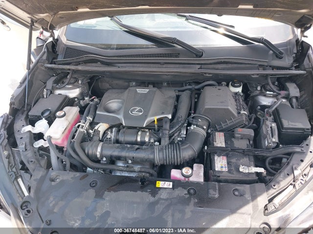 2021 Lexus NX, VIN: JTJSARBZ2M2192602