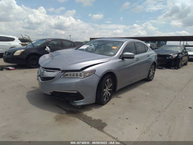 19UUB1F52GA003993 Acura TLX TECH