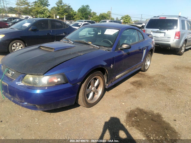 2003 FORD MUSTANG STANDARD/DELUXE/PREMIUM VIN: 1FAFP40403F335010