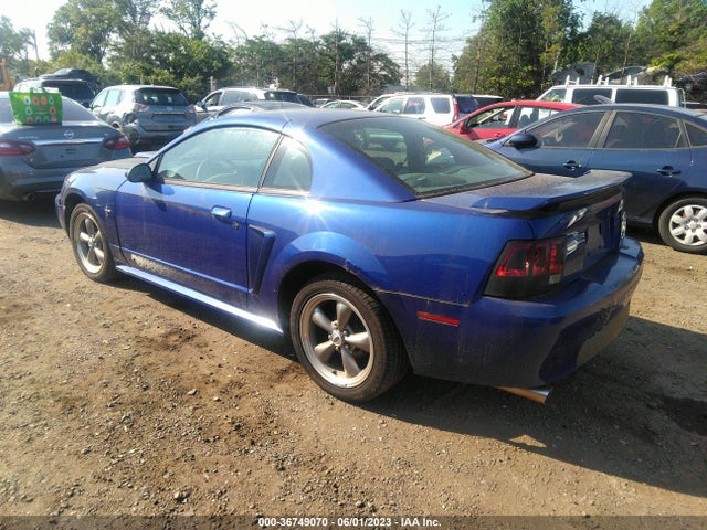 2003 FORD MUSTANG STANDARD/DELUXE/PREMIUM VIN: 1FAFP40403F335010