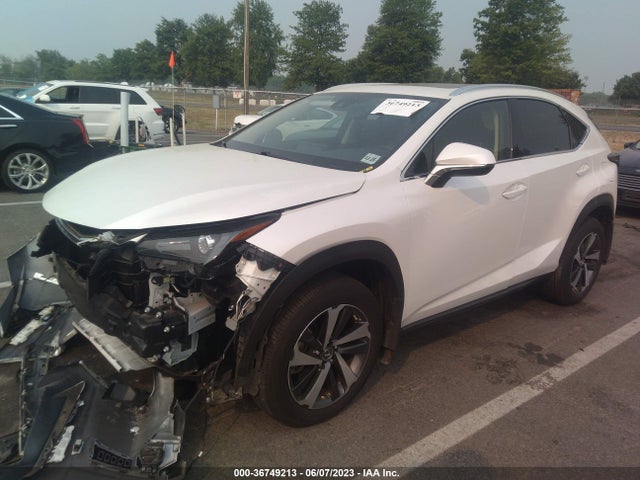2021 LEXUS NX NX 300 VIN: JTJGARDZ6M5021532
