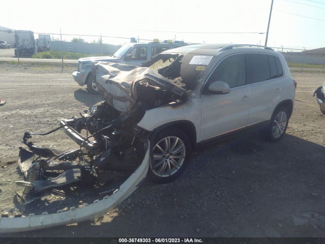 WVGBV3AXXEW565458 Volkswagen Tiguan Sel