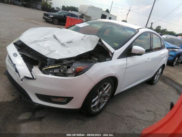 1FADP3F22FL300031 Ford FOCUS SE