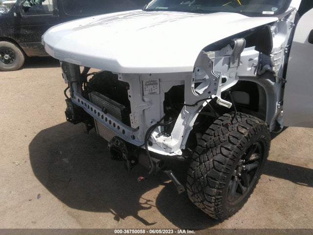 Chevrolet Silverado 1500 Custom Trail Boss 2023 3GCPDCEK5PG204345 Image 7