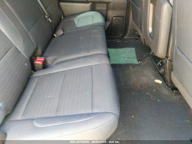 Chevrolet Silverado 1500 Custom Trail Boss 2023 3GCPDCEK5PG204345 Image 9
