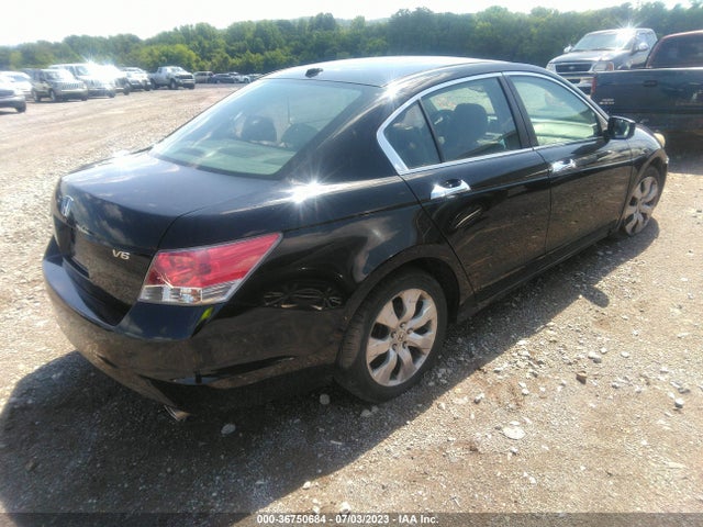 2010 HONDA ACCORD SDN EX-L VIN: 1HGCP3F87AA026292