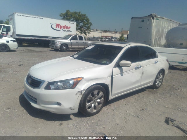 2010 HONDA ACCORD SDN EX-L VIN: 5KBCP3F82AB014011