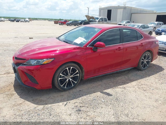 2020 Toyota Camry, VIN: 4T1M11AK9LU375897