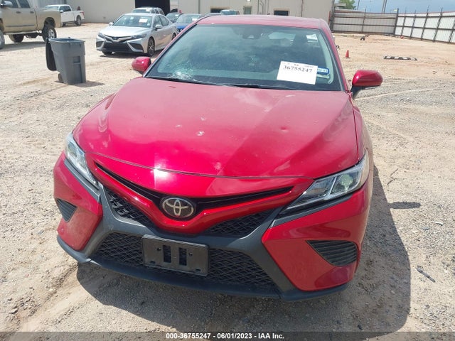 2020 Toyota Camry, VIN: 4T1M11AK9LU375897