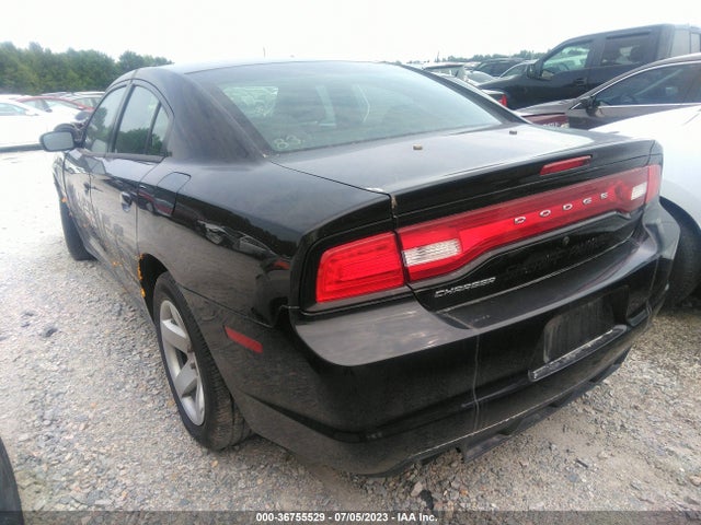 Dodge Charger Police 2014 2C3CDXAT8EH366881 Image 3