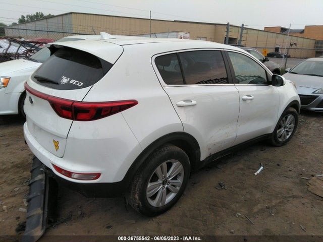2019 KIA SPORTAGE LX VIN: KNDPM3AC5K7563505