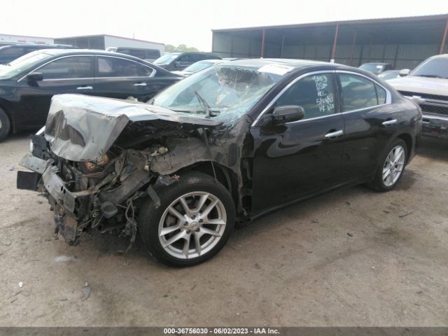 1N4AA5AP4EC439420 Nissan Maxima 3.5 S