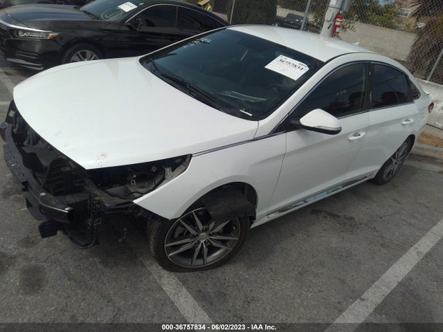 Hyundai Sonata Sport 2017 5NPE34AB6HH501493 Image 2