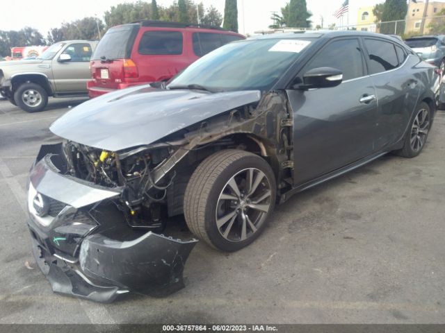 1N4AA6AP2GC410894 Nissan Maxima 3.5 Sl