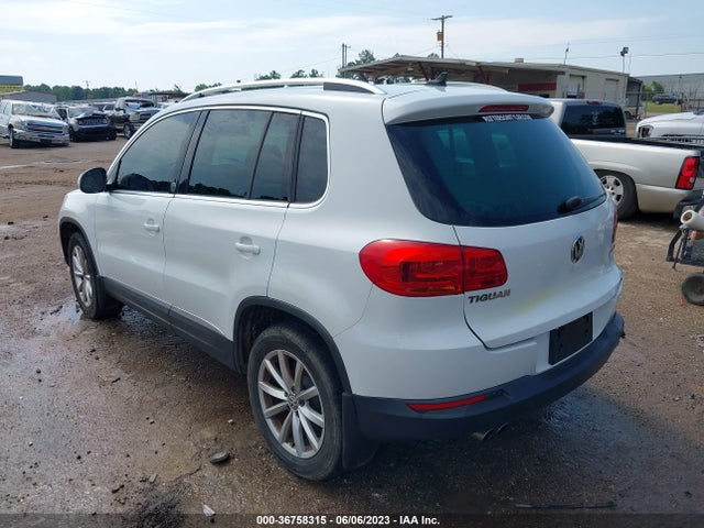 WVGSV7AXXHK013297 Volkswagen Tiguan Wolfsburg Edition