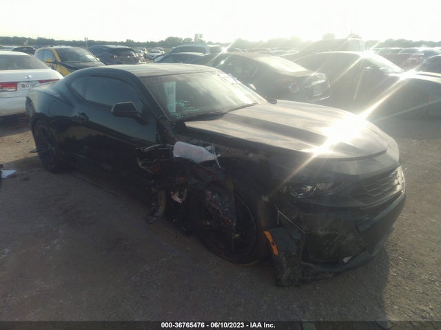 2023 1G1FB1RS1P0138325 zdjęcie główne