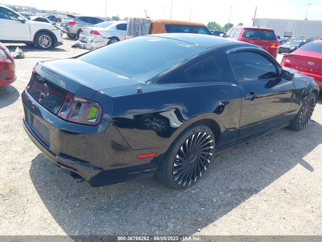 2013 FORD MUSTANG V6 VIN: 1ZVBP8AM1D5216028