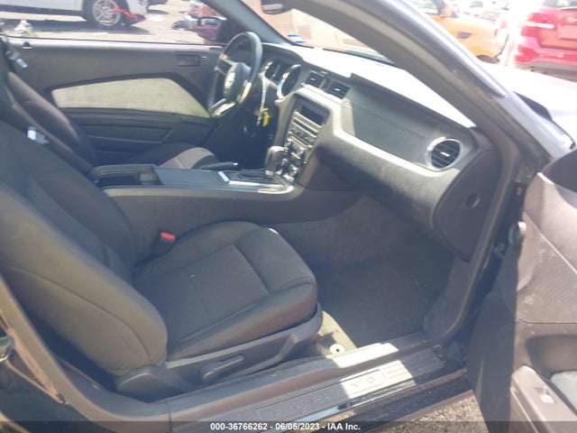 2013 FORD MUSTANG V6 VIN: 1ZVBP8AM1D5216028