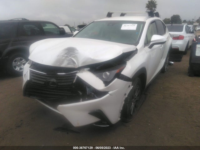 2019 Lexus NX, VIN: JTJYARBZ0K2126959
