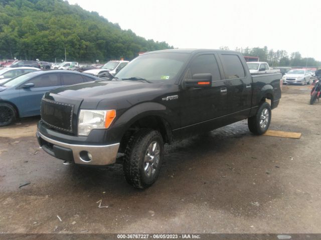 1FTFW1EF5EFB08355 Ford F-150 Xl/xlt/stx/fx4/lariat