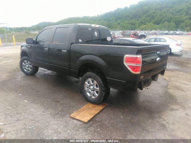 1FTFW1EF5EFB08355 Ford F-150 Xl/xlt/stx/fx4/lariat