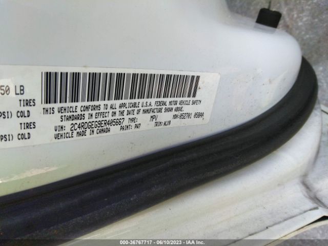 2C4RDGEG9ER405667 Dodge Grand Caravan R/t