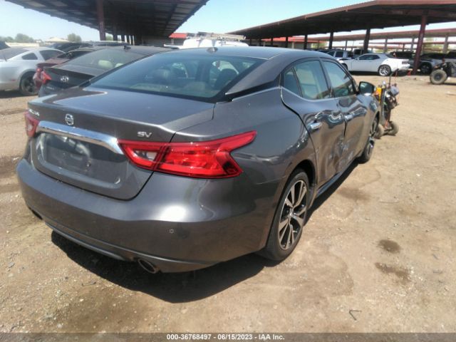 1N4AA6APXJC387386 Nissan MAXIMA SV
