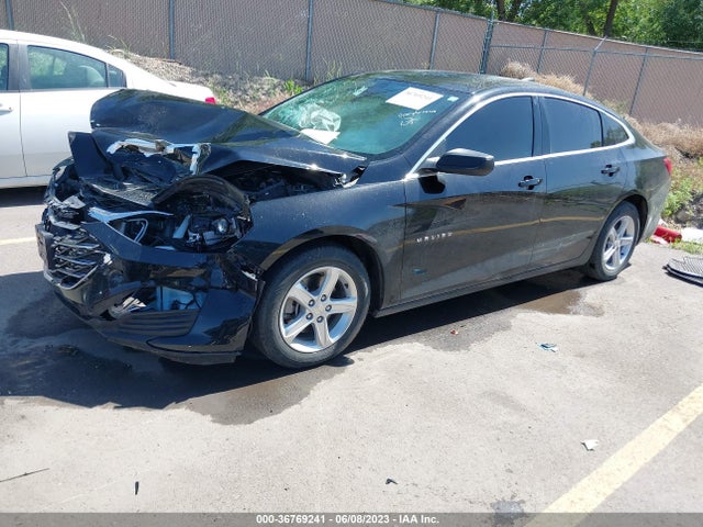 Chevrolet MALIBU LS 2019 1G1ZB5STXKF183552 Image 2