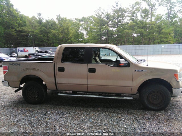 1FTFW1EF3EKG12152 Ford F-150 Xl/xlt/stx/fx4/lariat