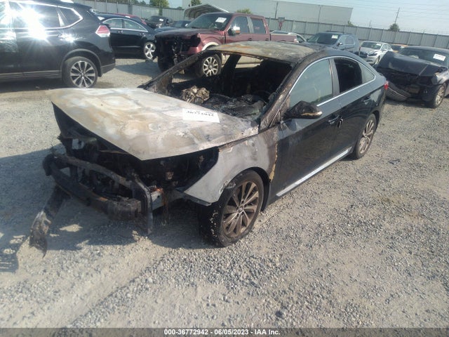 Hyundai Sonata Sport 2017 5NPE34AF7HH556814 Image 2