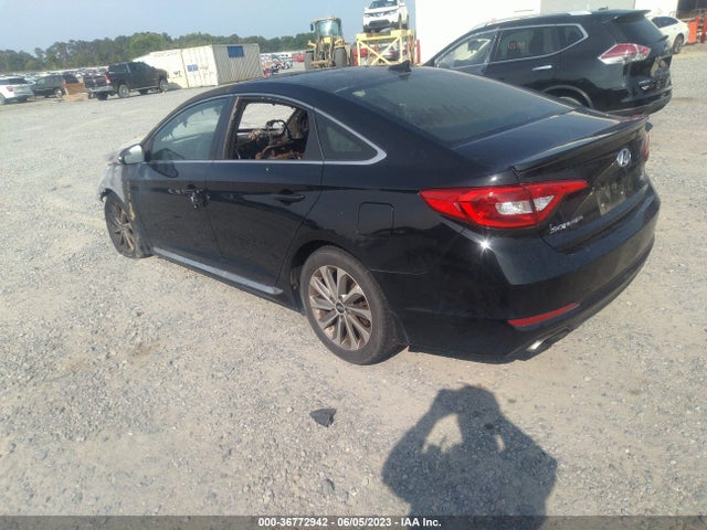 Hyundai Sonata Sport 2017 5NPE34AF7HH556814 Image 4