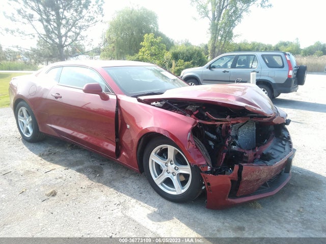 2023 1G1FB1RSXP0142373 main image