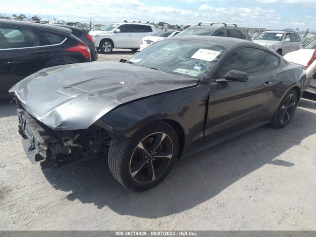 2019 FORD MUSTANG ECOBOOST VIN: 1FA6P8TH2K5120464