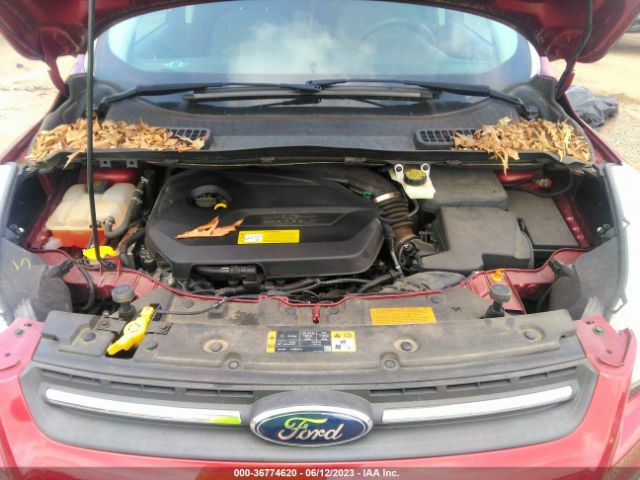 1FMCU0GX9EUA97456 Ford ESCAPE SE