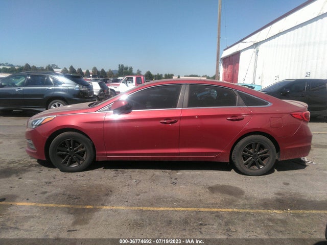 Hyundai SONATA SE 2015 5NPE24AF3FH004596 Image 13