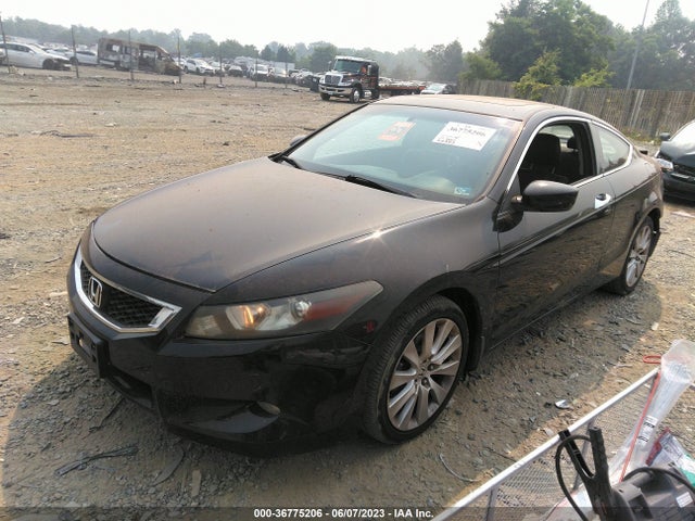 2009 HONDA ACCORD CPE EX-L VIN: 1HGCS22829A011046