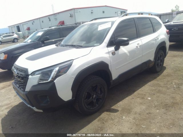 JF2SKAMC9PH410970 Subaru Forester Wilderness