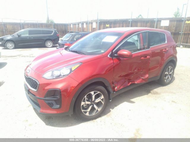 KNDPM3AC6M7876680 KIA Sportage Lx