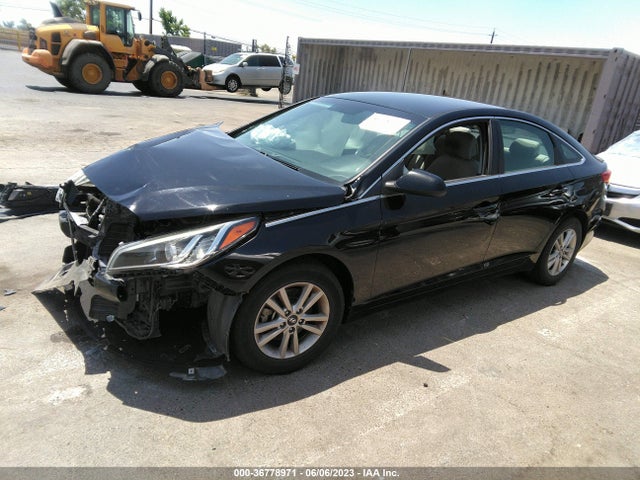 Hyundai Sonata 2.4l 2016 5NPE24AFXGH402308 Image 2