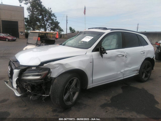 WA1DMBFP0EA125744 Audi Q5 Premium Plus
