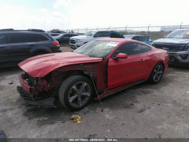 1FA6P8AM8F5334235 Ford Mustang V6