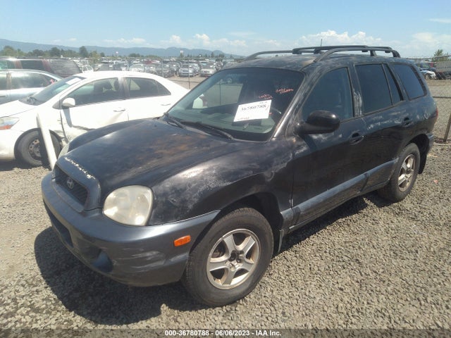 2002 HYUNDAI SANTA FE GLS/LX VIN: KM8SC13D72U159416