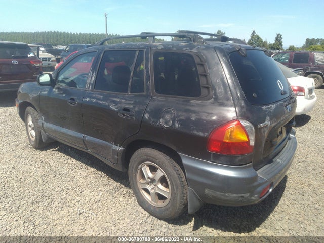 2002 HYUNDAI SANTA FE GLS/LX VIN: KM8SC13D72U159416