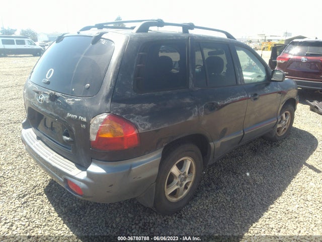 2002 HYUNDAI SANTA FE GLS/LX VIN: KM8SC13D72U159416