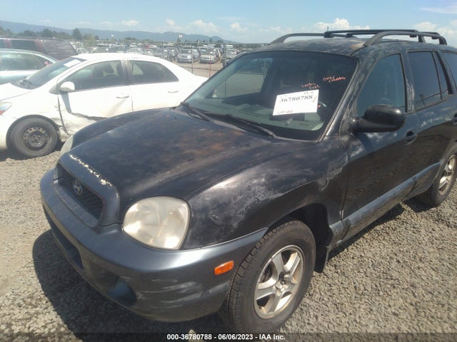 2002 HYUNDAI SANTA FE GLS/LX VIN: KM8SC13D72U159416